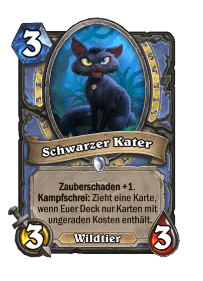 Schwarzer Kater